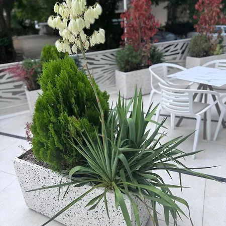 Hotel Eforie Nord Otel