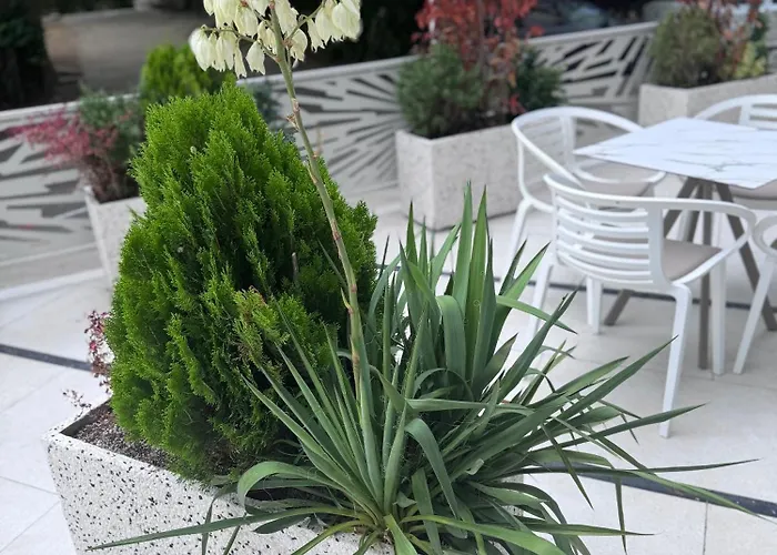 Hotel Eforie Nord Szálloda